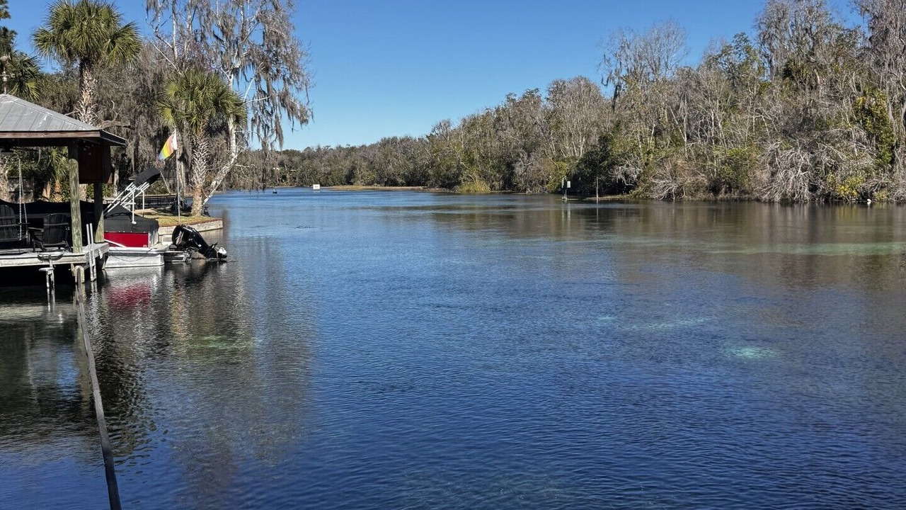 Photo of Others in Dunnellon
