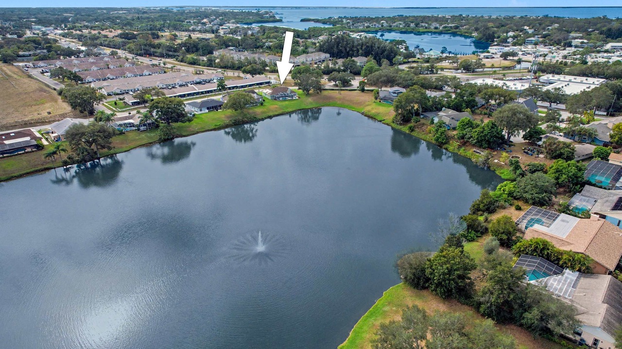 Photo of Outdoor in Palm Harbor