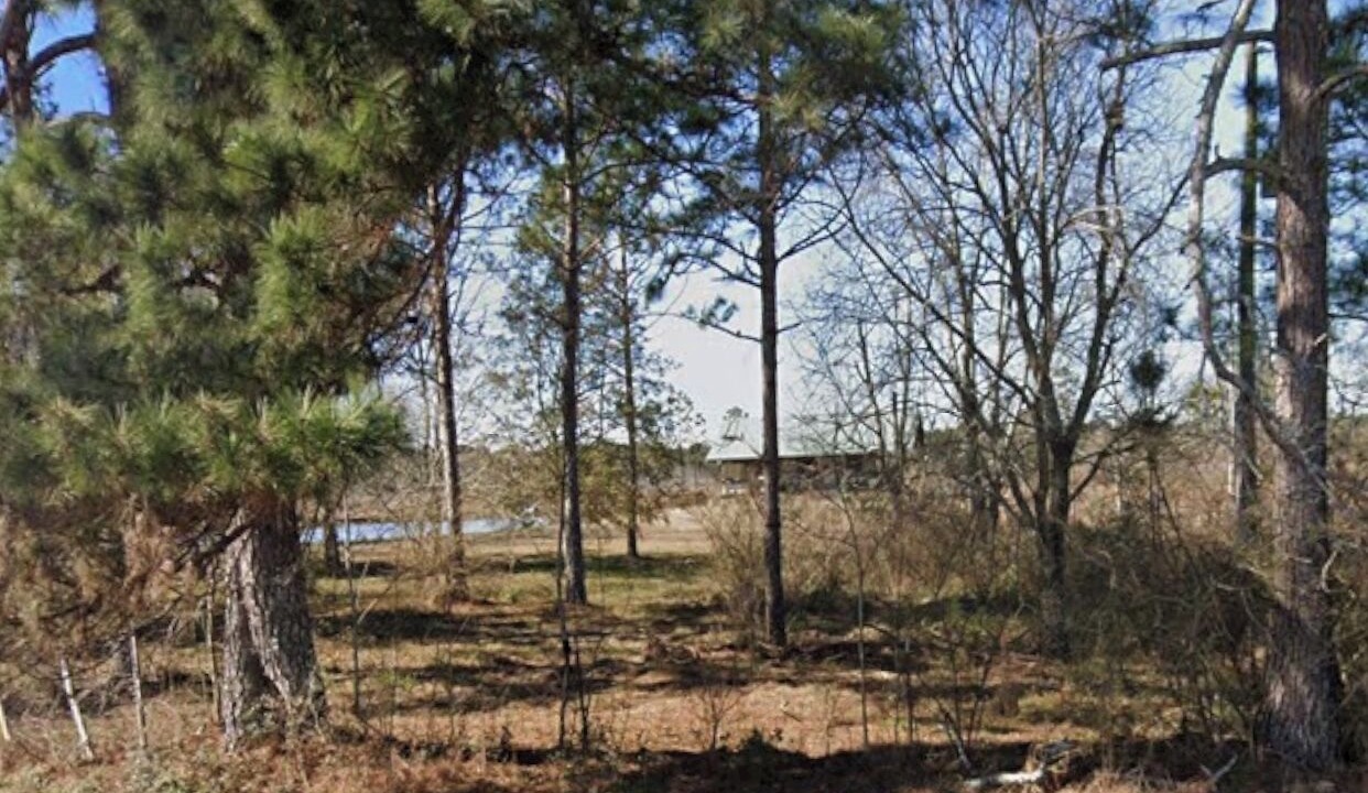 Photo of Outdoor in Norman Park