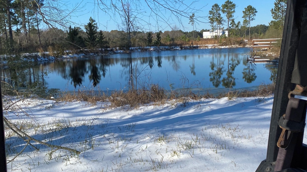 Photo of Others in Norman Park