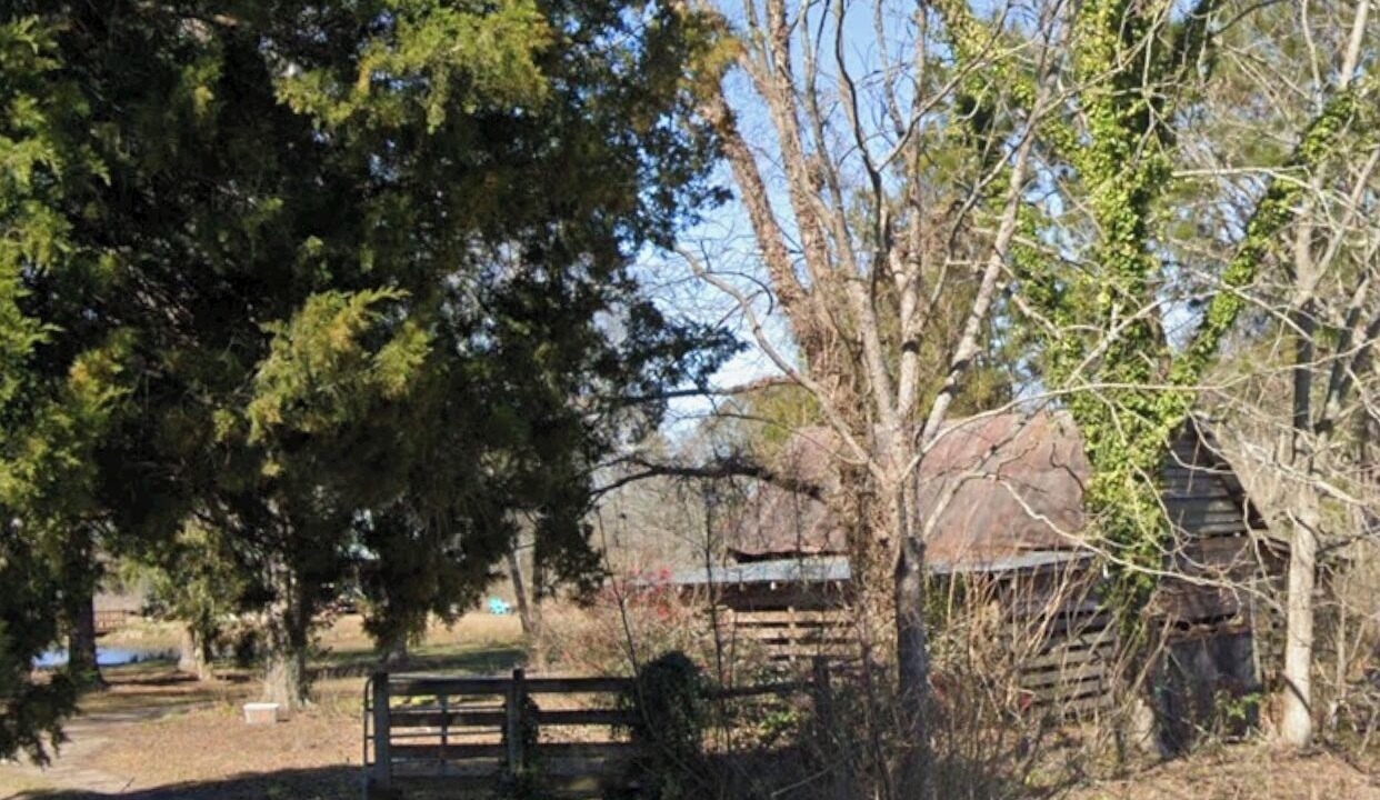 Photo of Outdoor in Norman Park