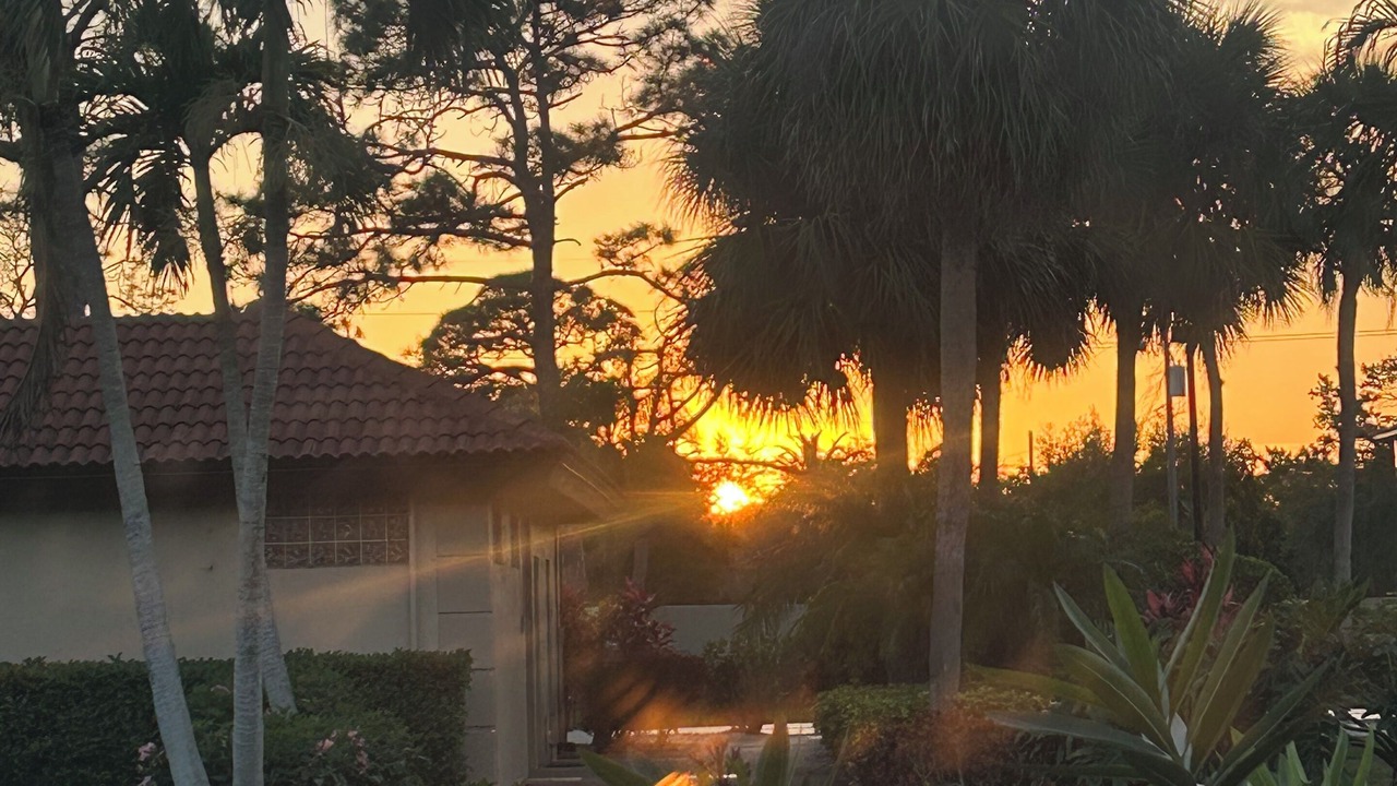 Photo of Outdoor in Sarasota