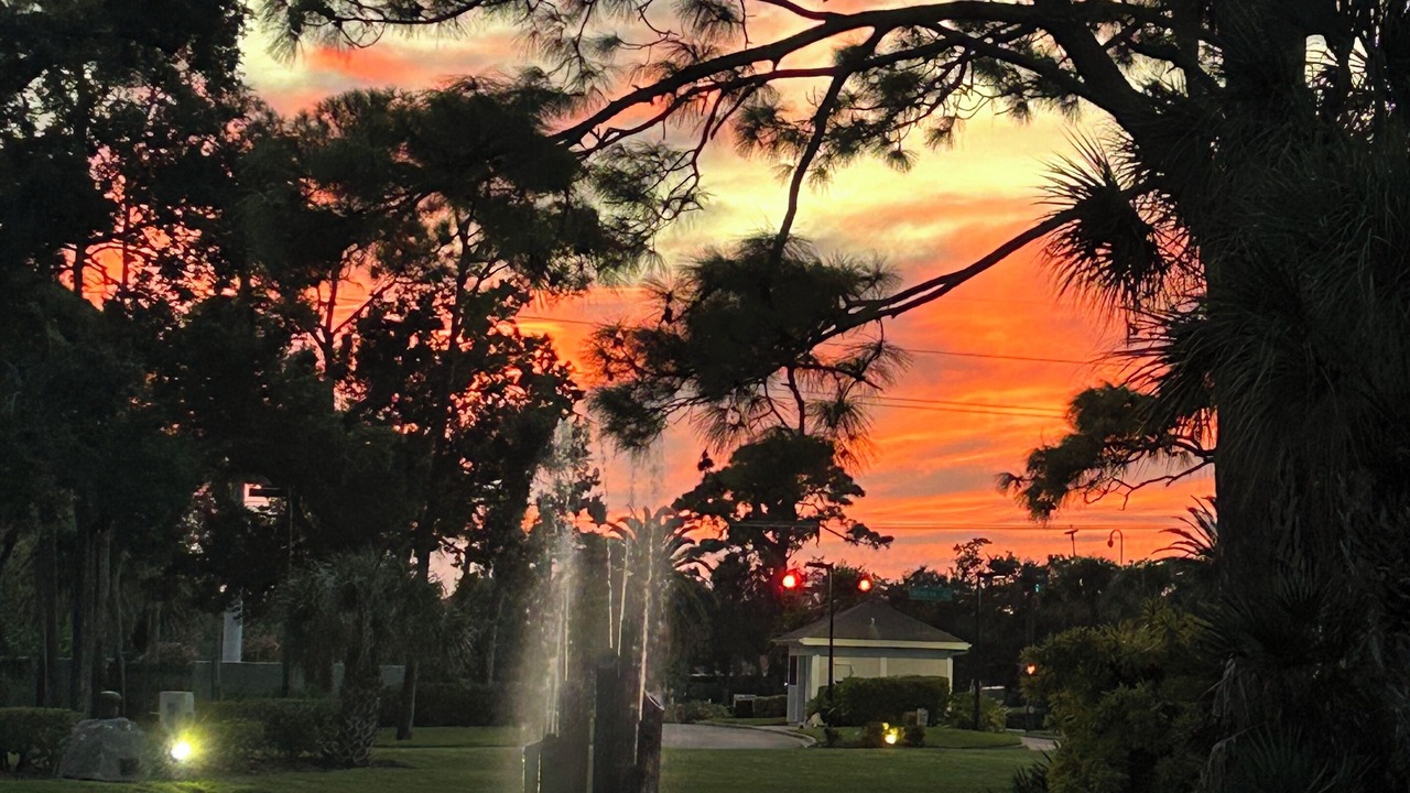 Photo of Others in Sarasota