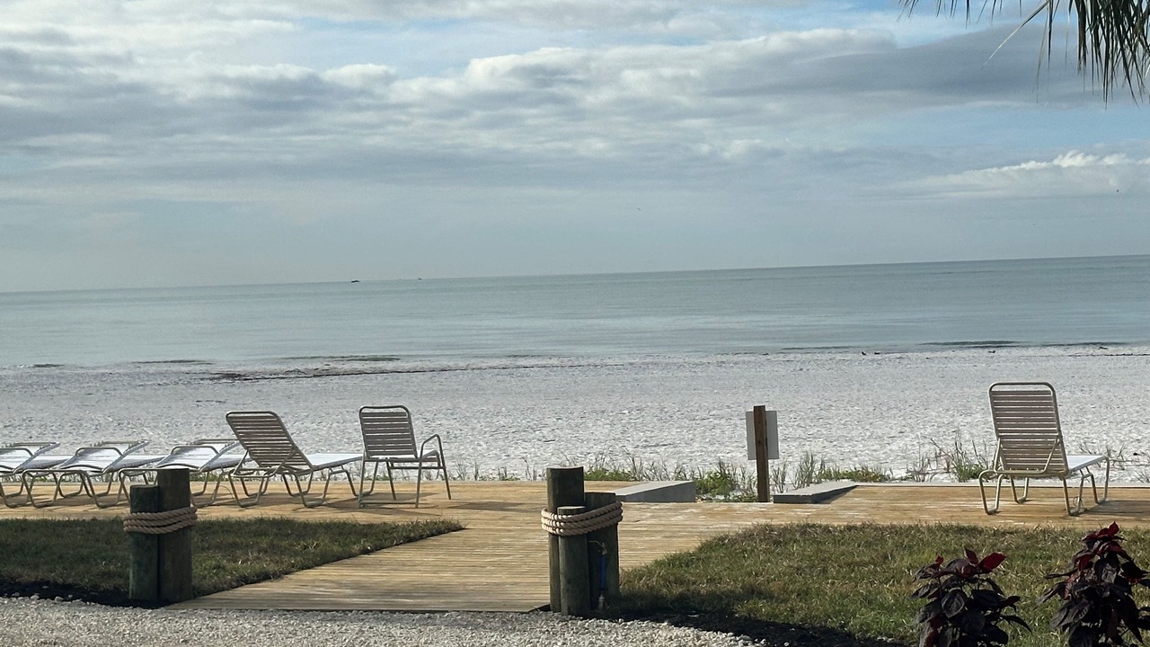 Photo of Others in Mid Island