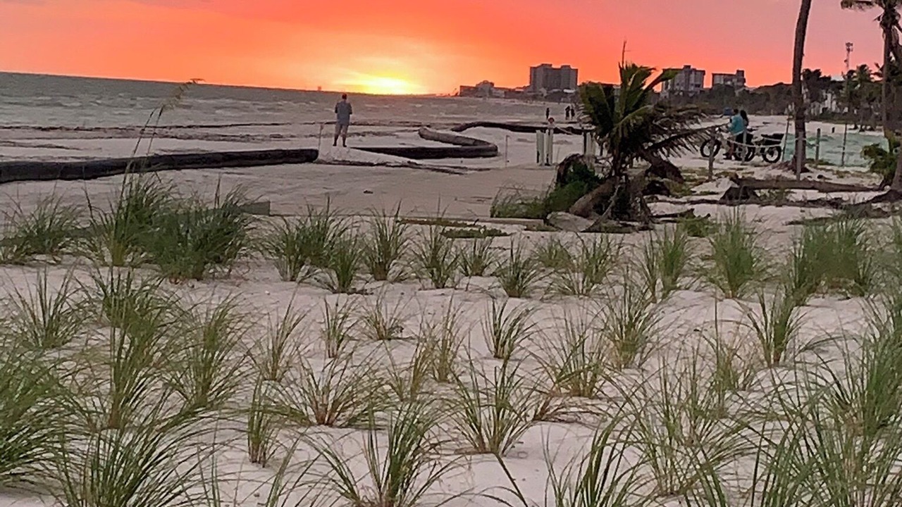 Photo of Others in Mid Island