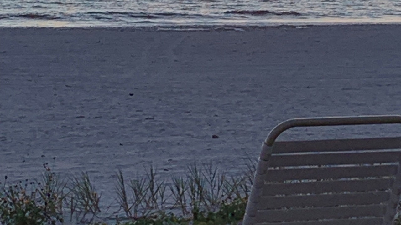 Photo of Others in Mid Island