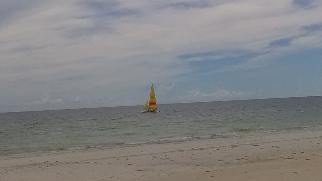 Photo of Others in Mid Island