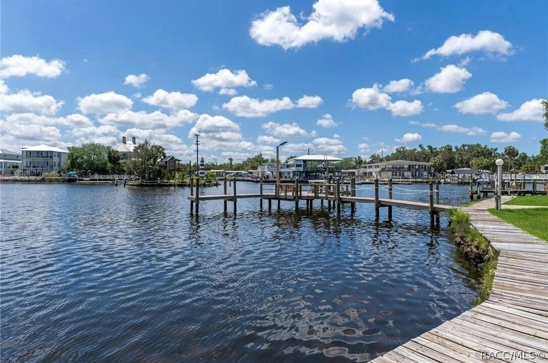 Photo of Others in Homosassa