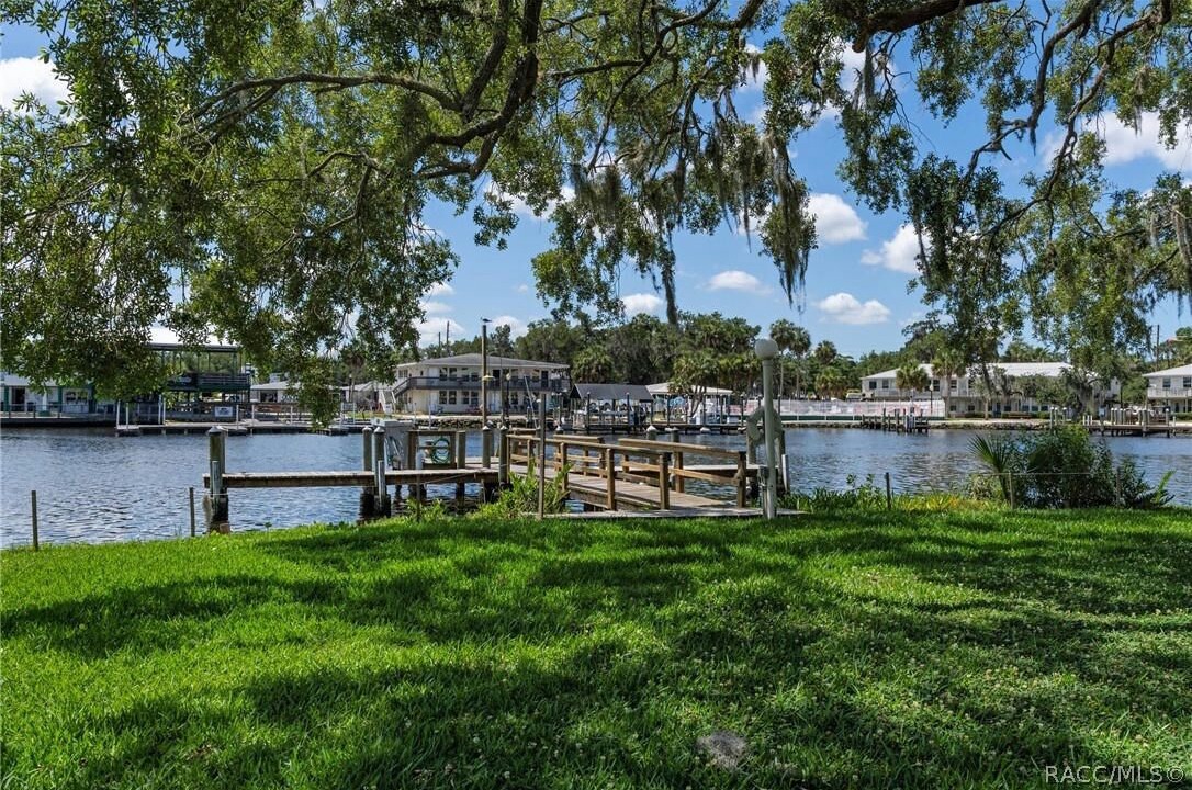Photo of Others in Homosassa