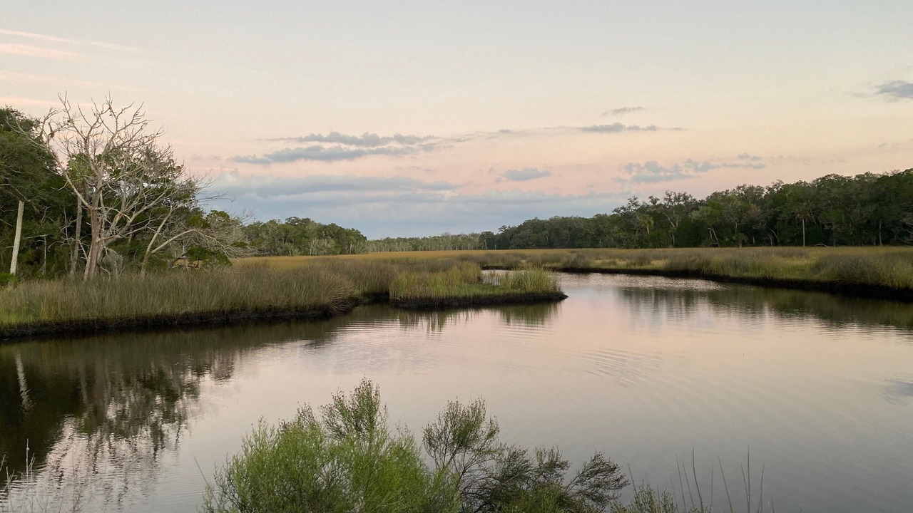 Photo of Others in Homosassa