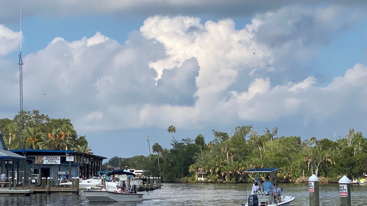 Photo of Others in Homosassa