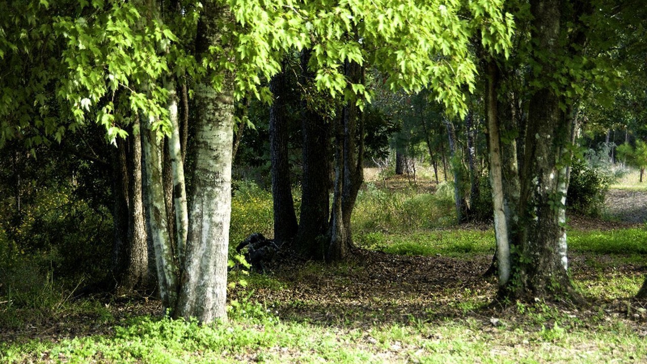 Photo of Others in Fort McCoy