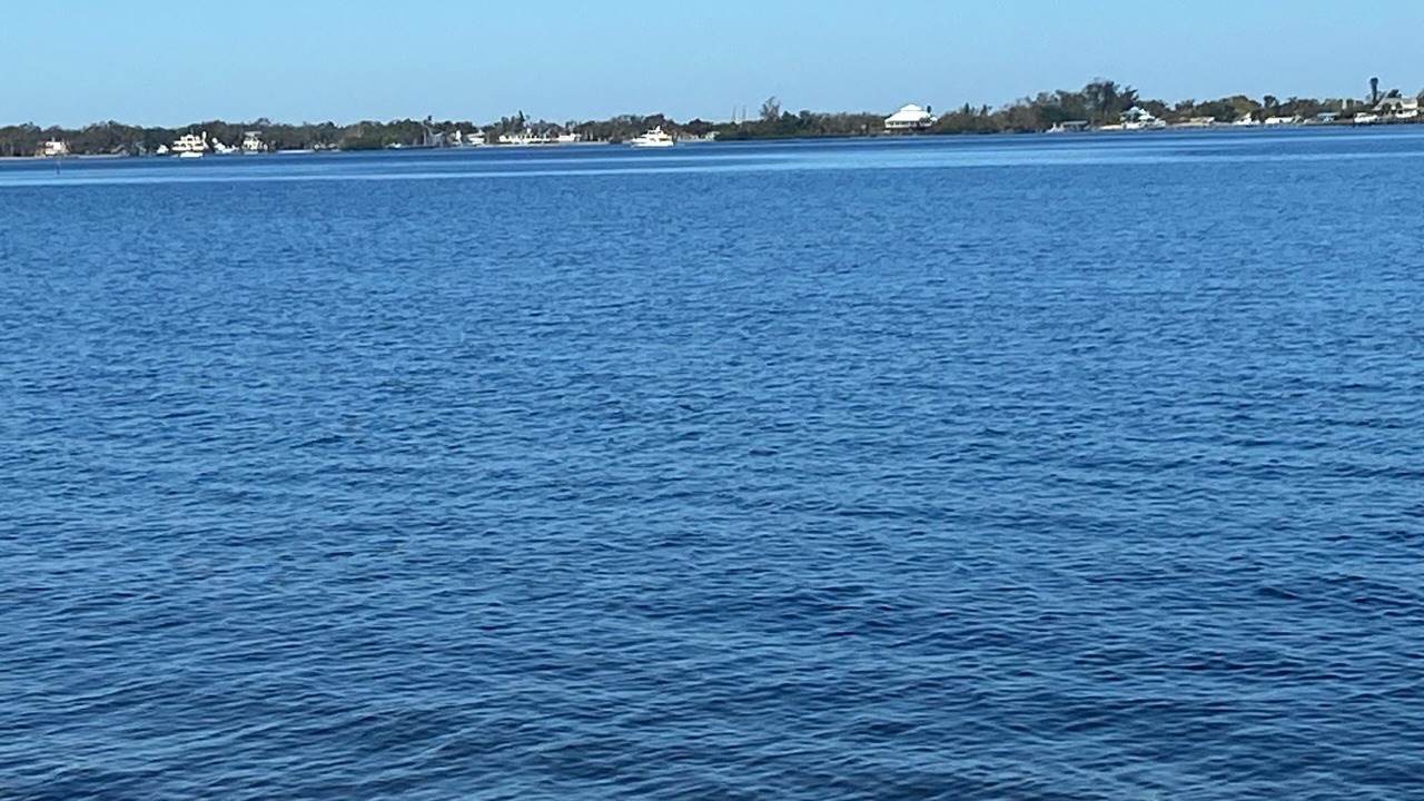 Photo of Others in Bradenton