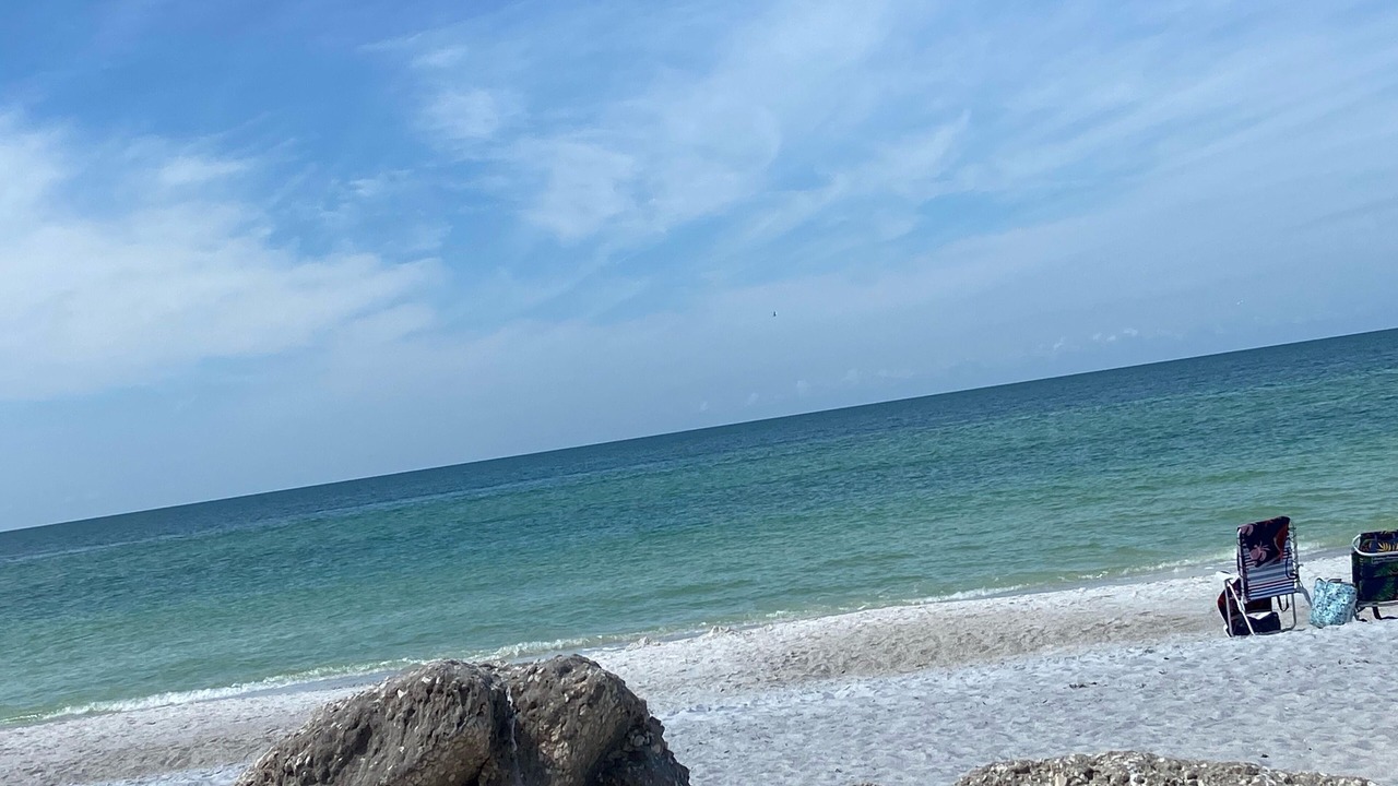 Photo of Others in Bradenton