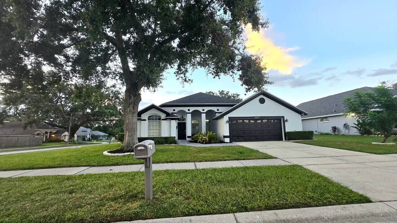 Photo of Outdoor in Wesley Chapel