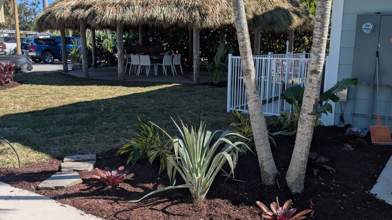 Photo of Outdoor in Mid Island