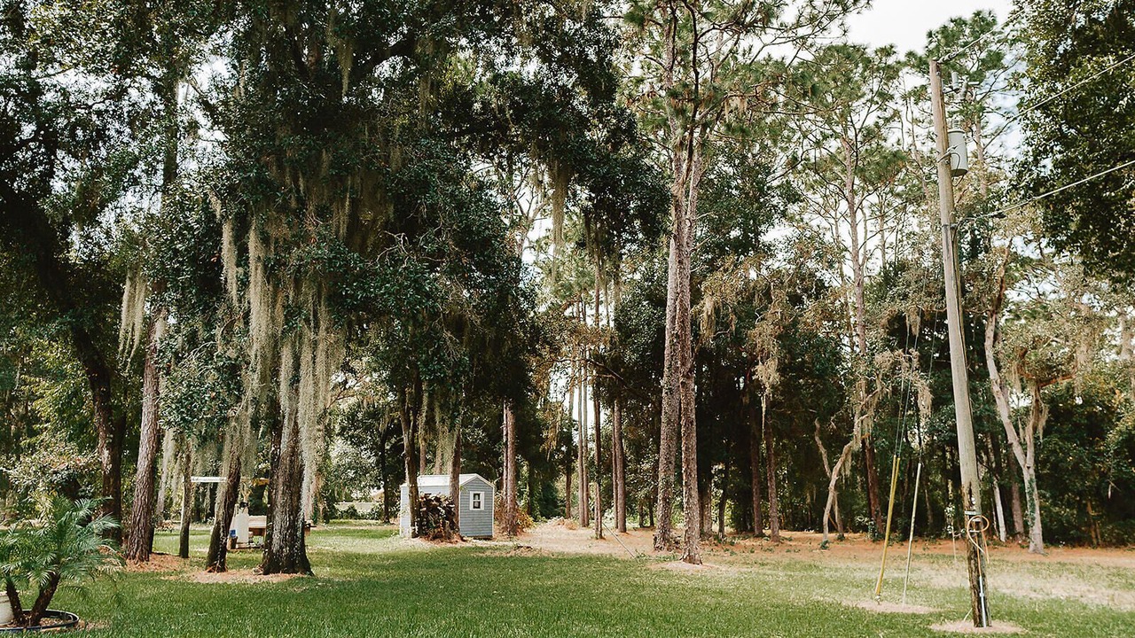 Photo of Others in Fruitland Park