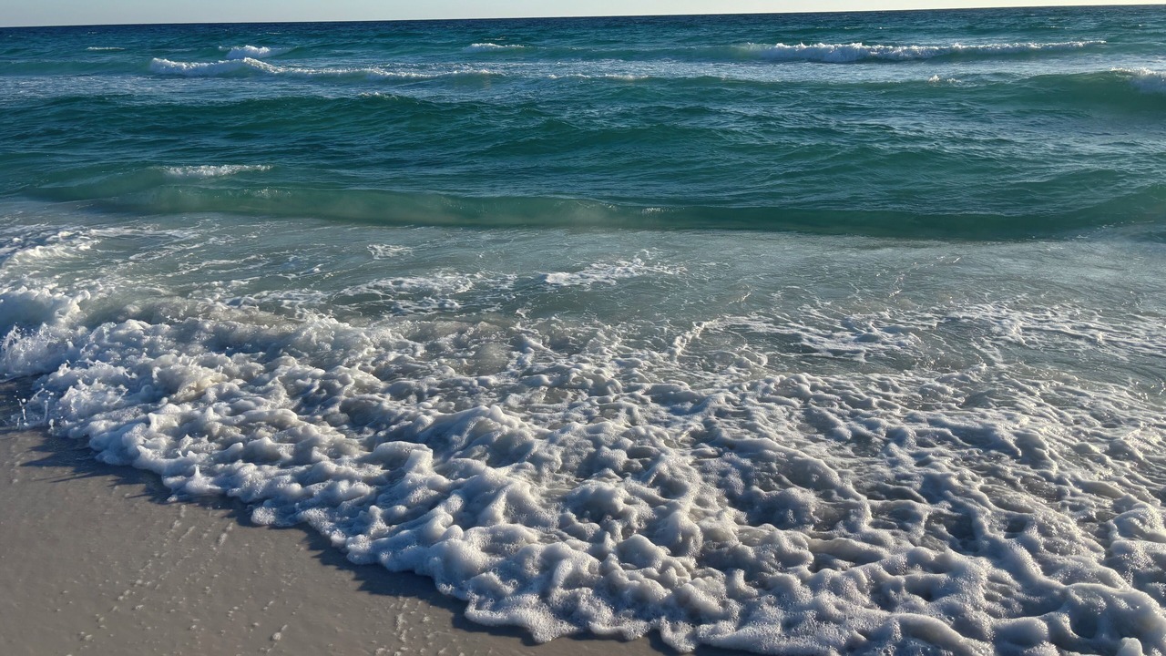Photo of Others in Fort Walton Beach