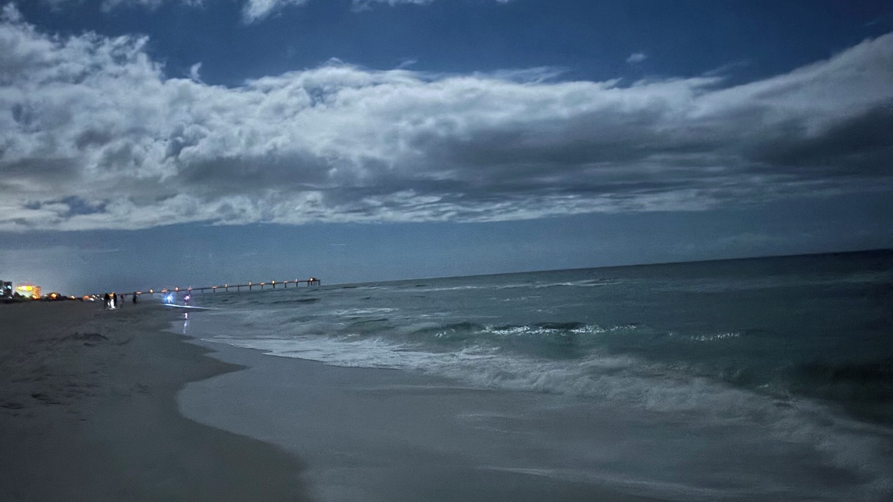 Photo of Others in Fort Walton Beach