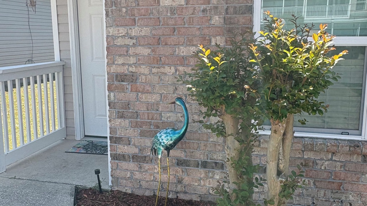 Photo of Outdoor in Fort Walton Beach