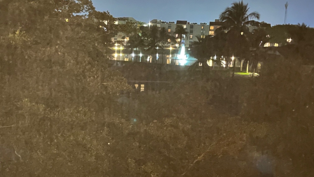 Photo of Others in Delray Beach