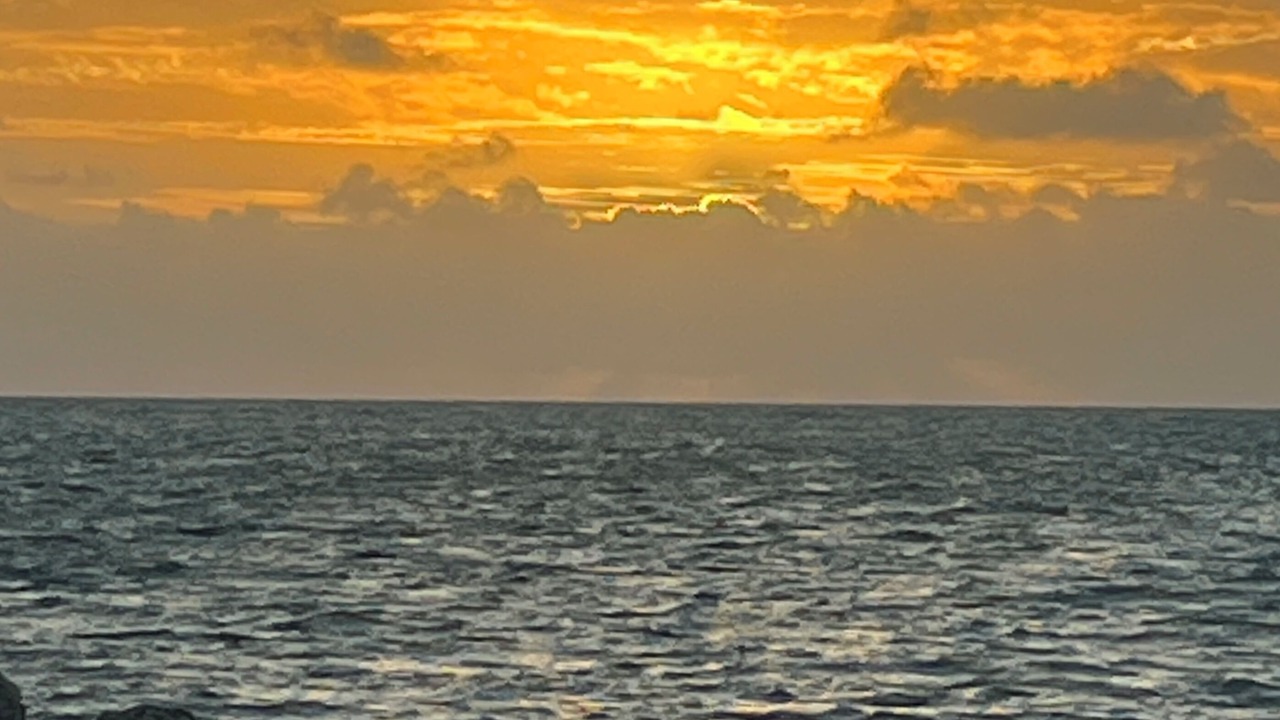 Photo of Others in Key West