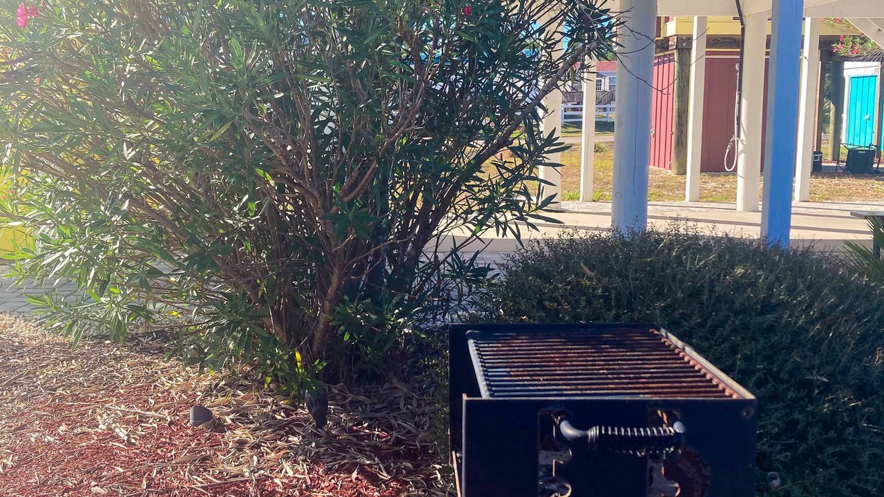 Photo of Outdoor in Carrabelle
