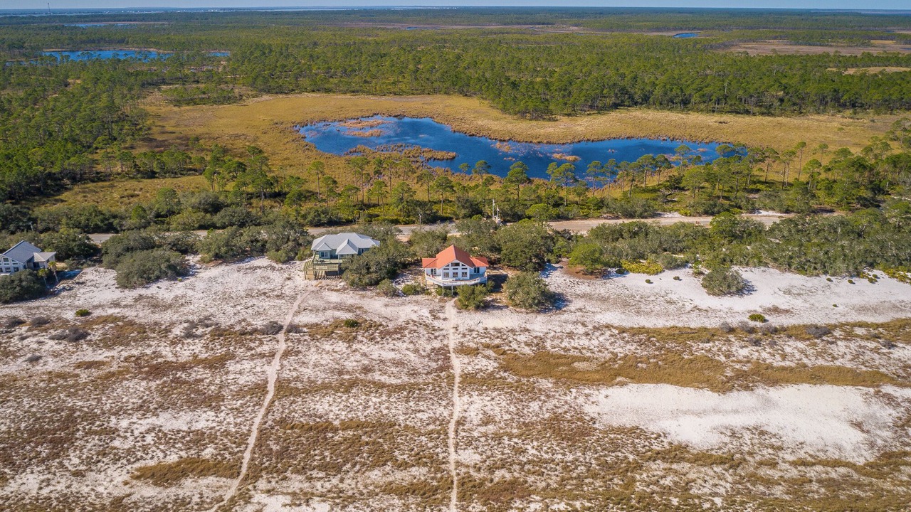 Photo of Outdoor in Alligator Point