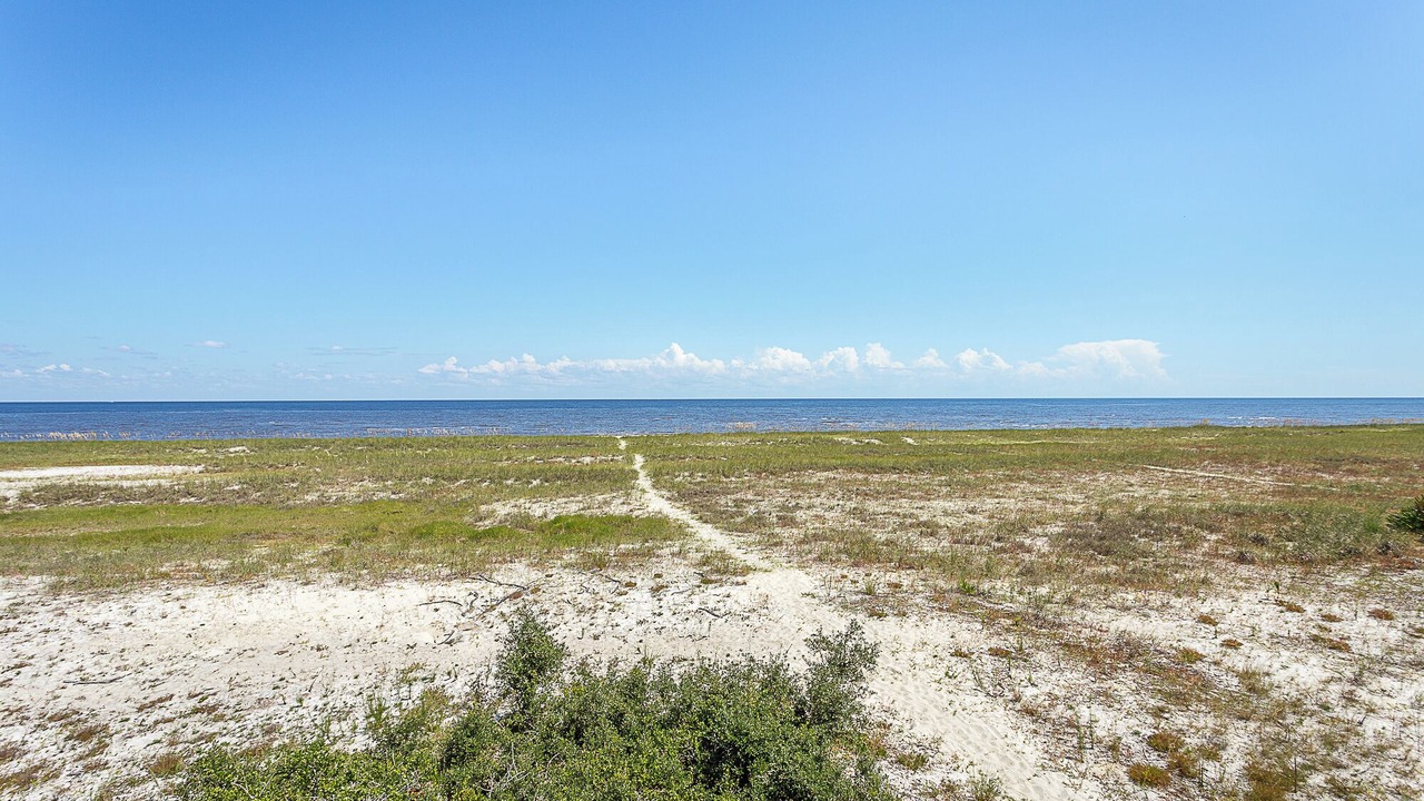 Photo of Others in Alligator Point