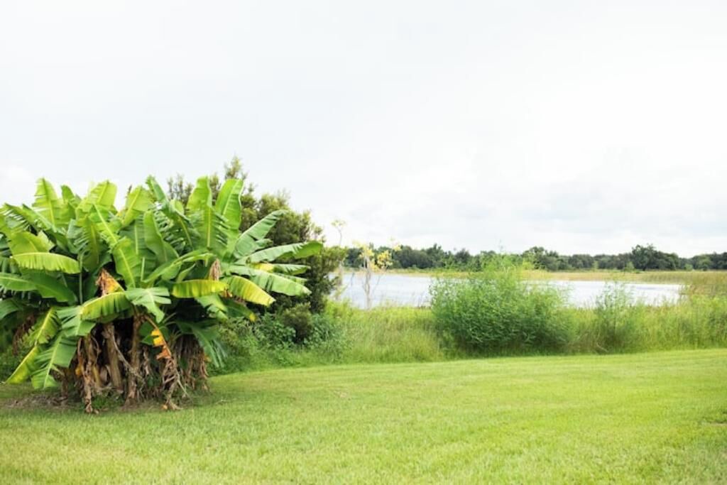 Photo of Others in Groveland