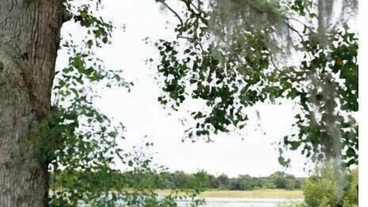 Photo of Outdoor in Groveland