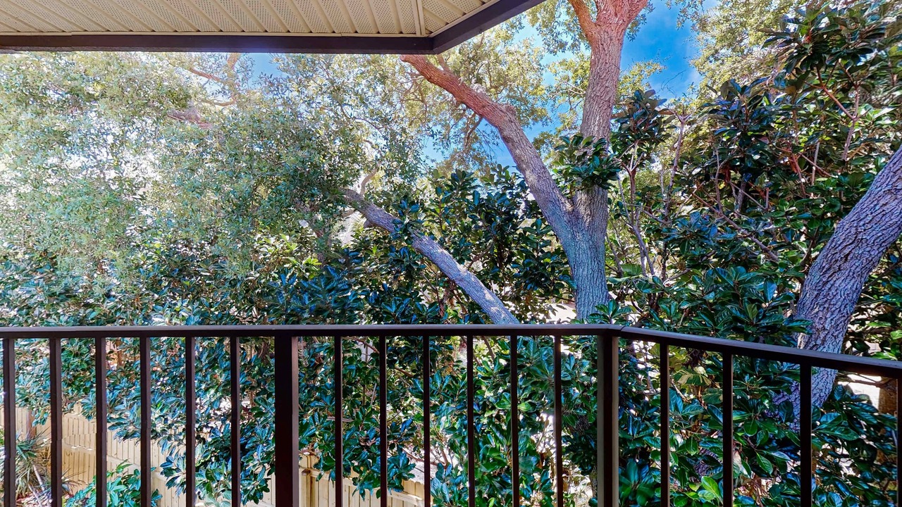 Photo of Outdoor in Tierra Verde