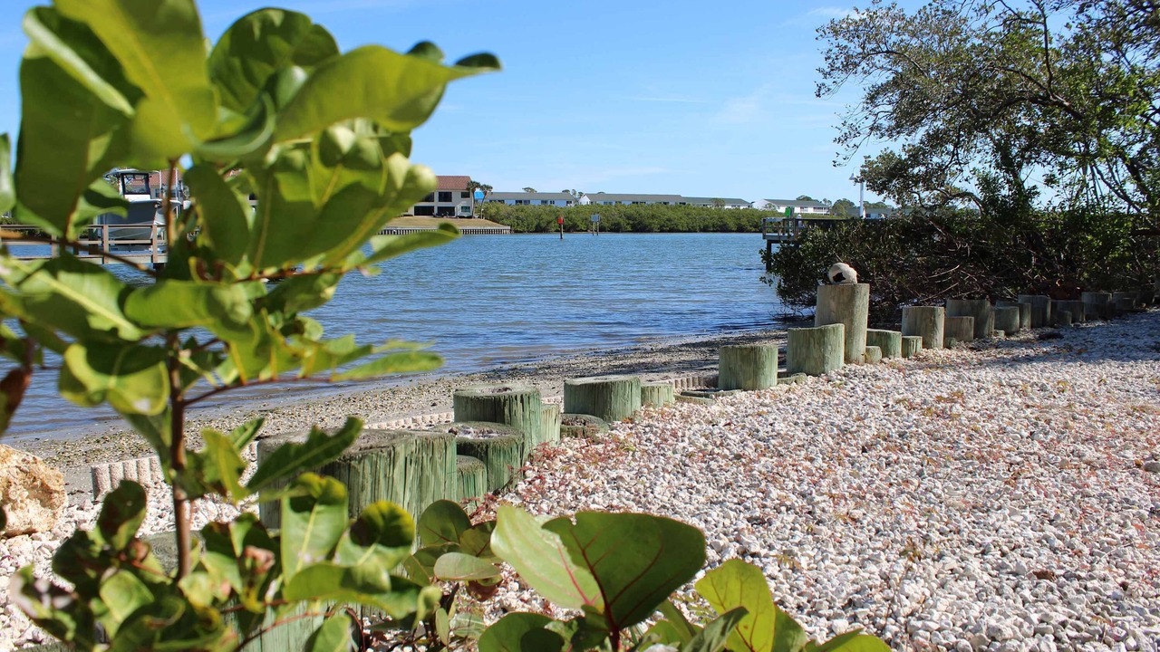 Photo of Others in Indian Shores