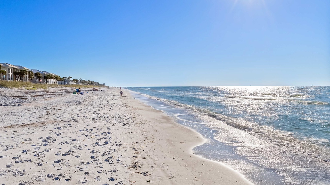 Photo of Others in Belleair Beach