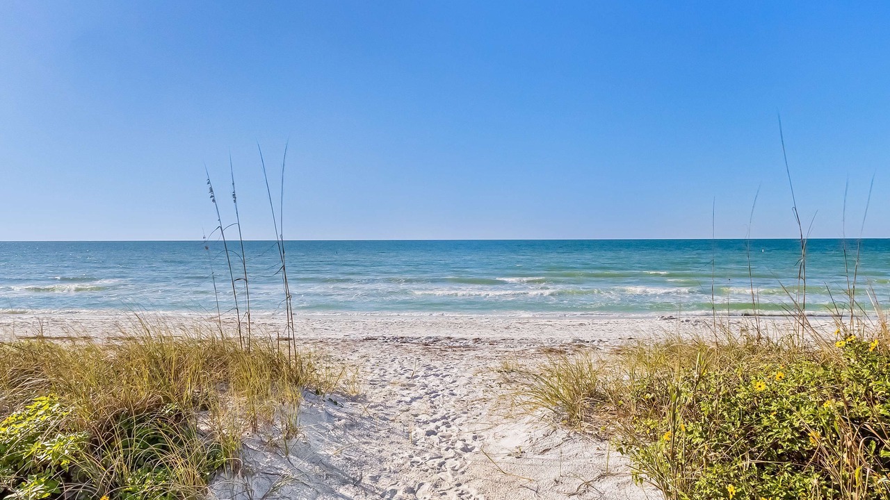 Photo of Others in Belleair Beach
