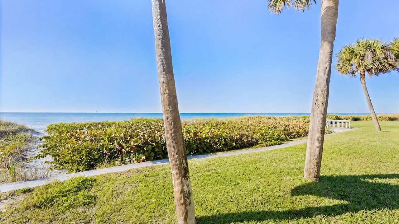 Photo of Outdoor in Belleair Beach
