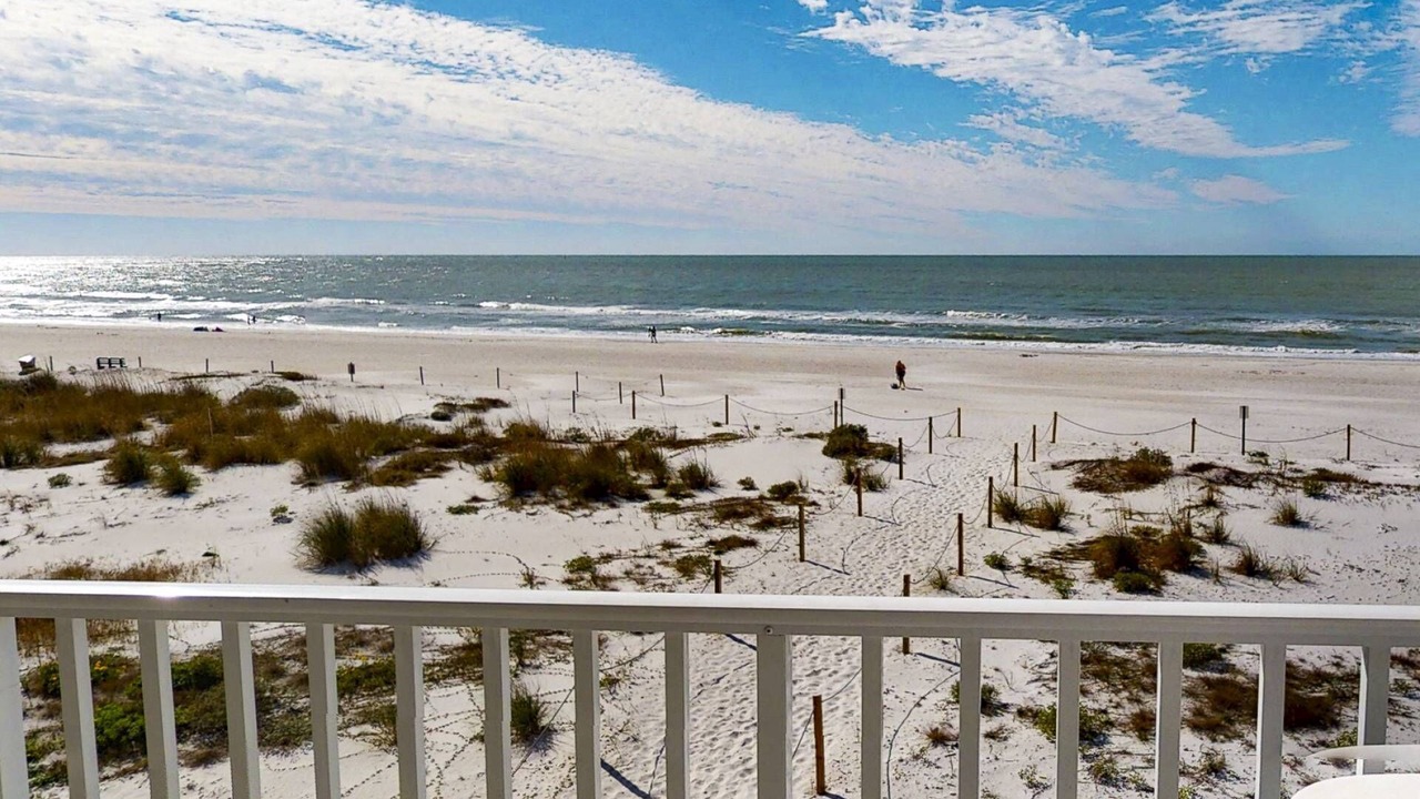 Photo of Others in Madeira Beach