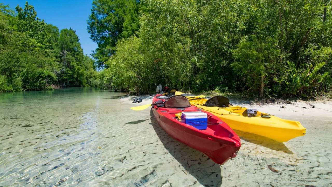 Photo of Others in Palm Harbor