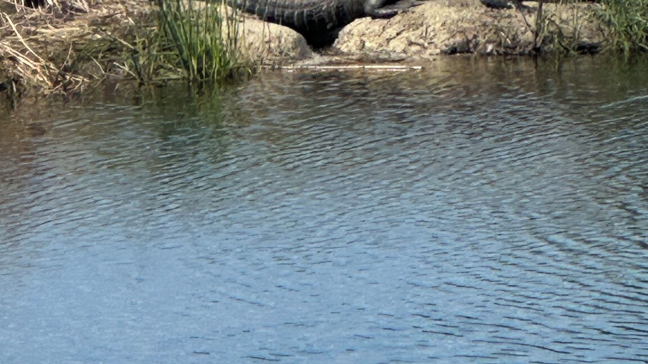 Photo of Others in Immokalee
