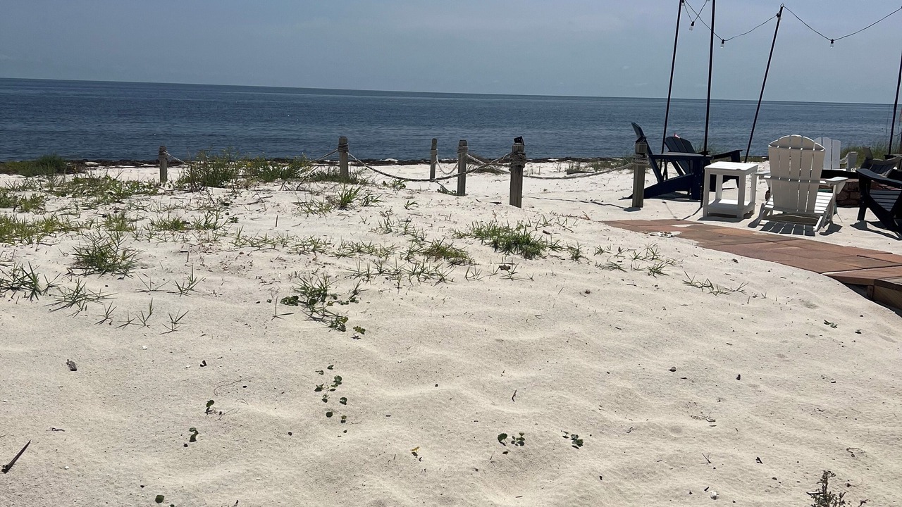 Photo of Others in Alligator Point