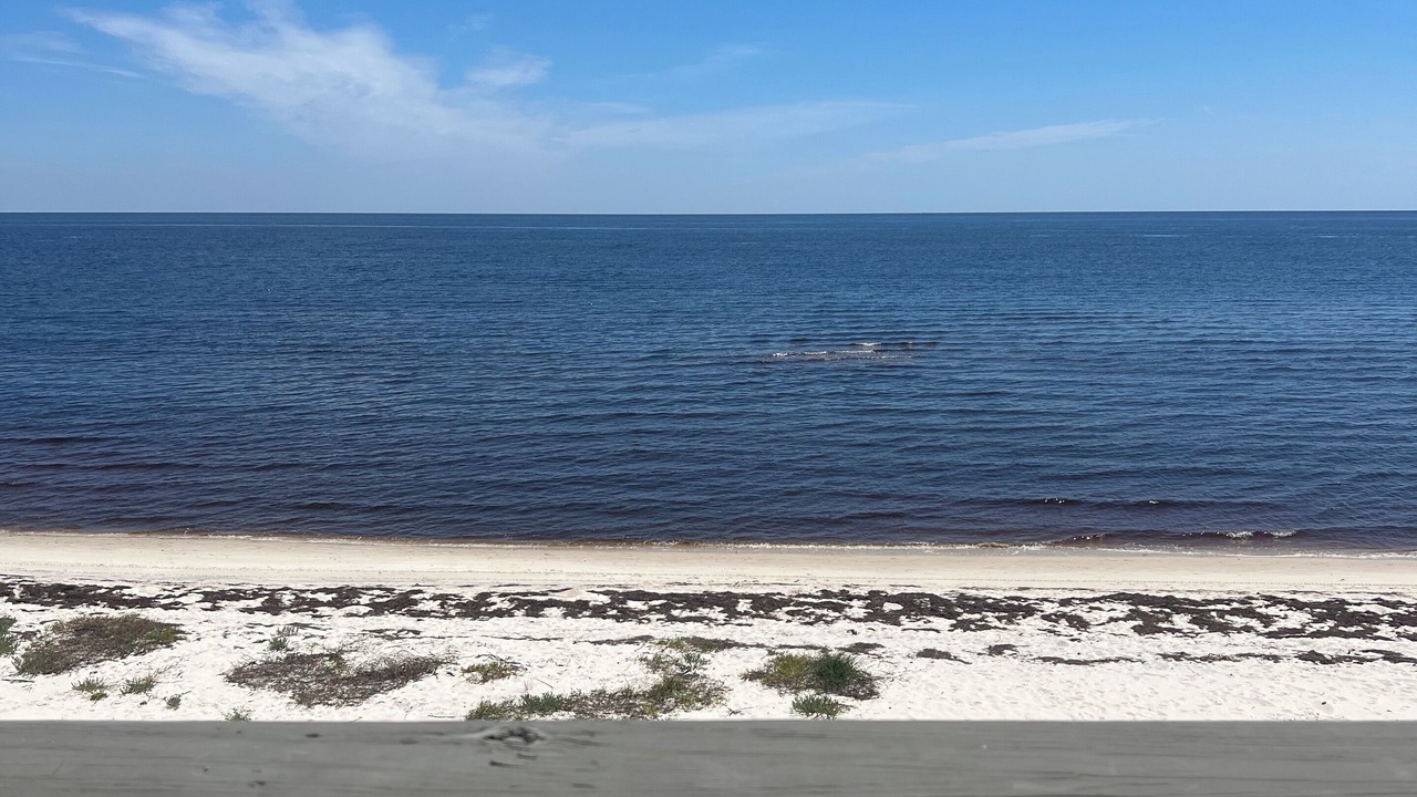 Photo of Outdoor in Alligator Point