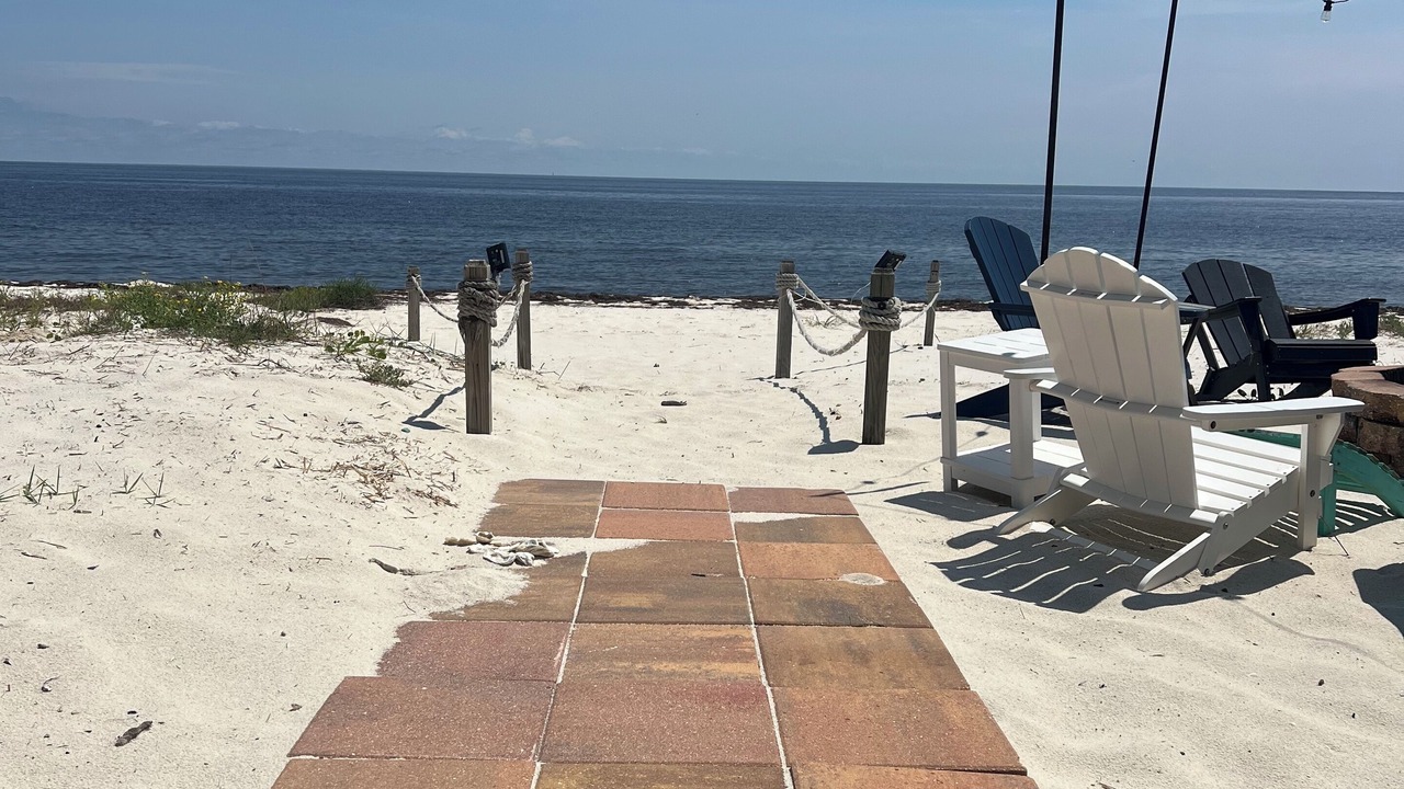 Photo of Outdoor in Alligator Point