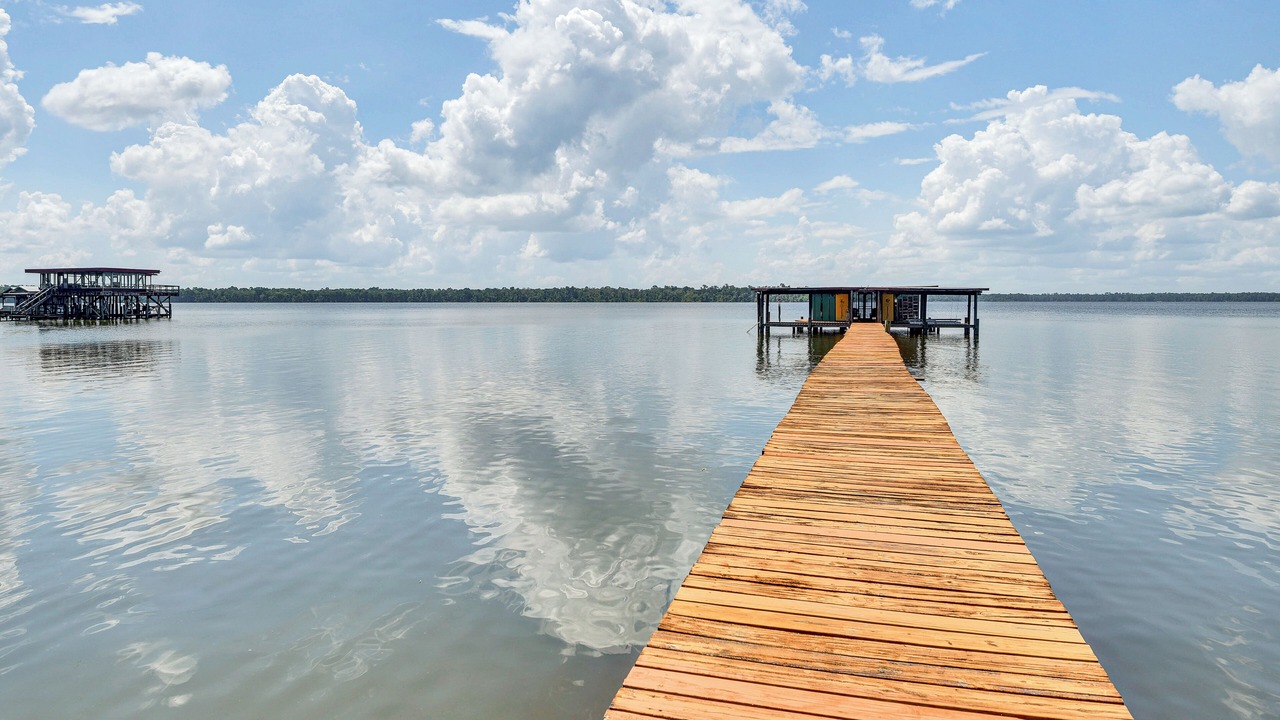 Photo of Outdoor in Welaka