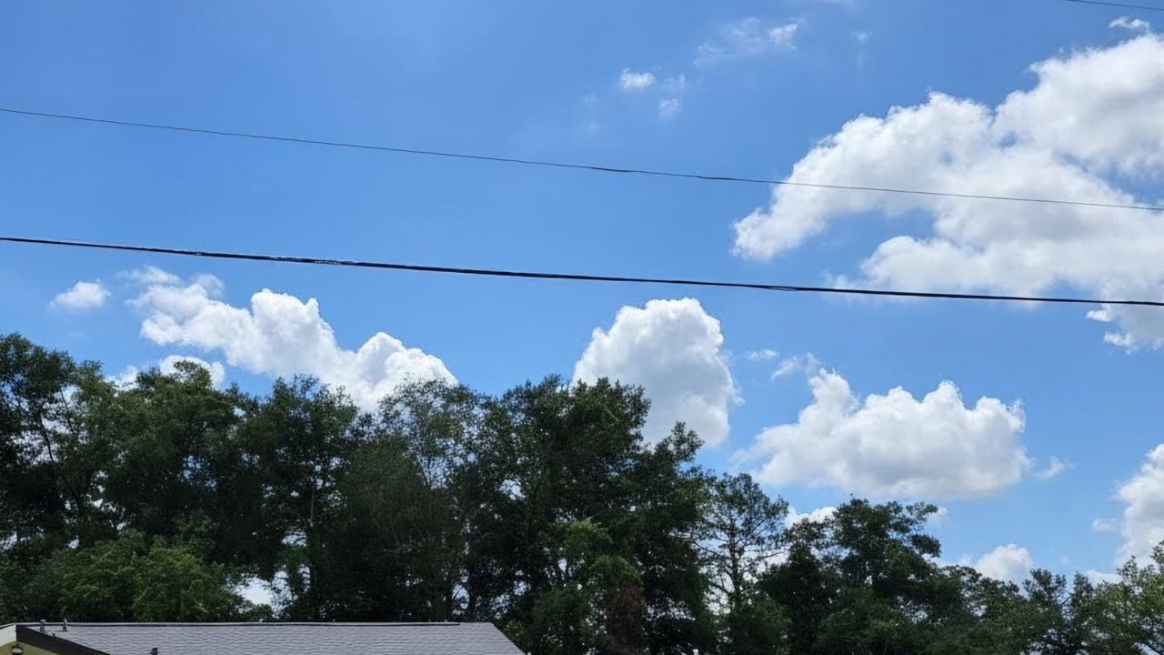 Photo of Outdoor in Dunnellon