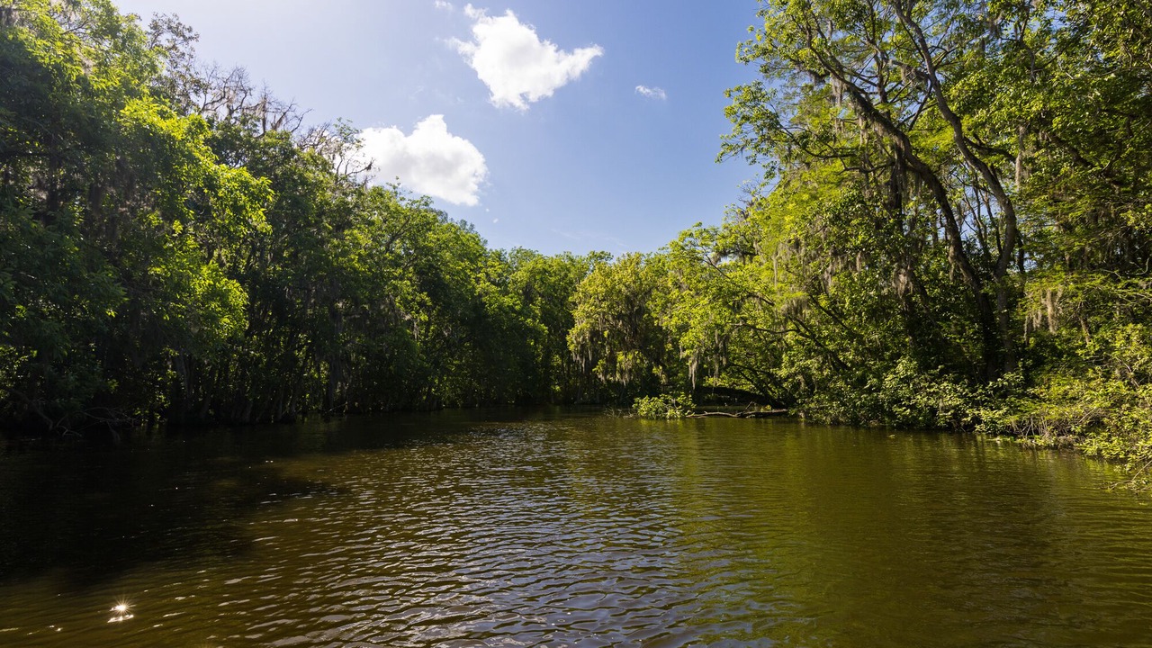Photo of Others in Lake County