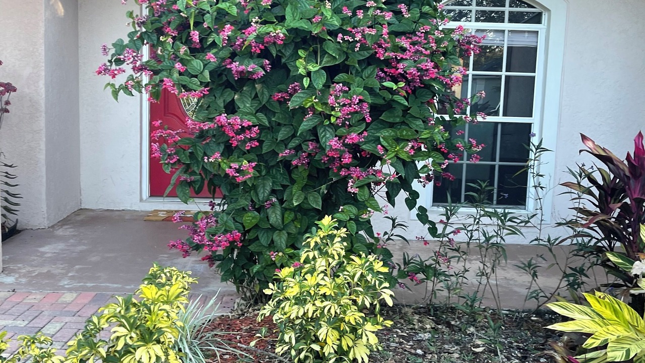 Photo of Outdoor in Greater Northdale