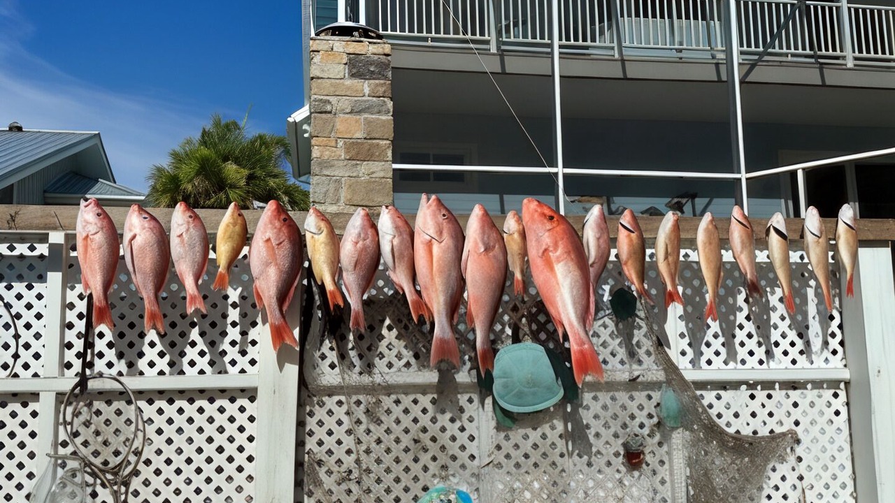 Photo of Others in Crystal River