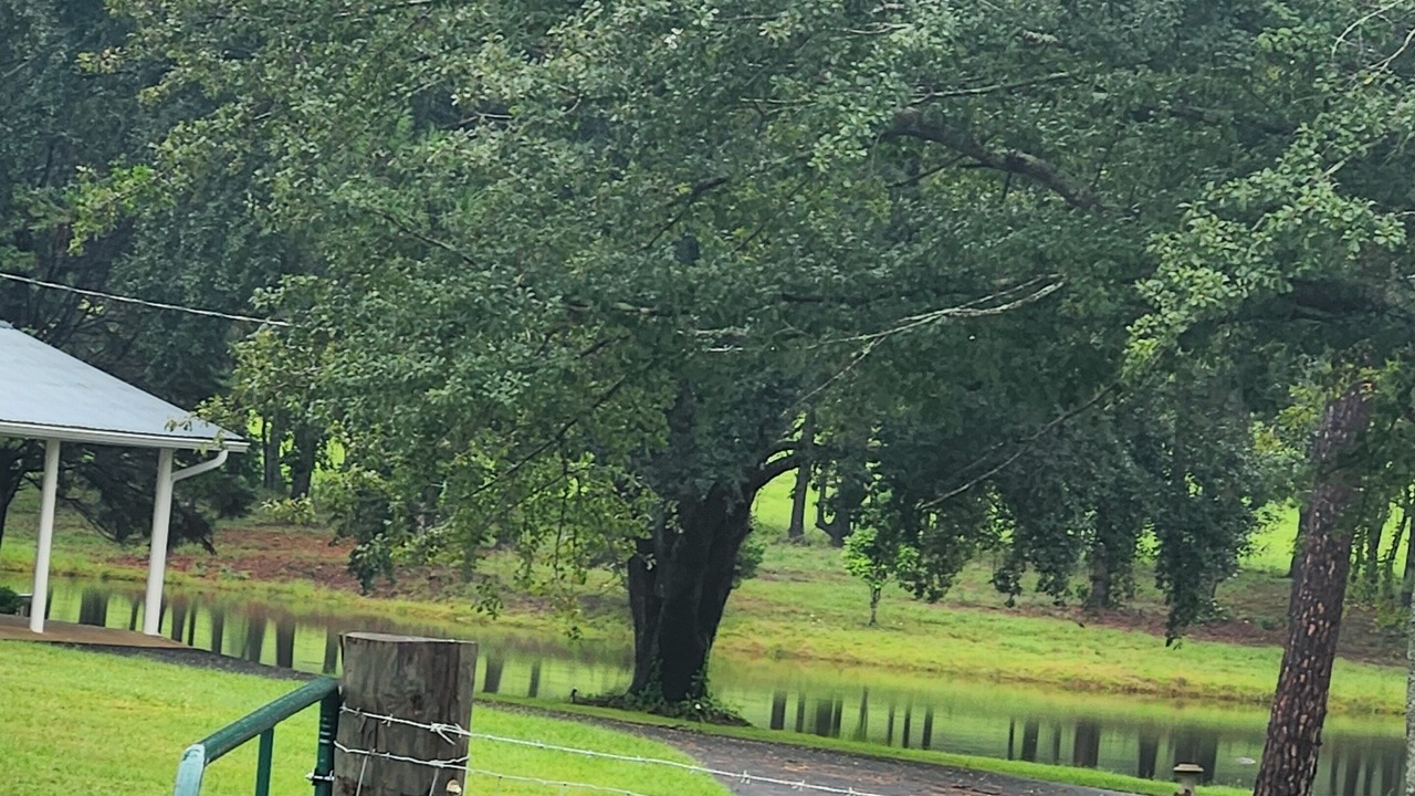 Photo of Others in Whigham