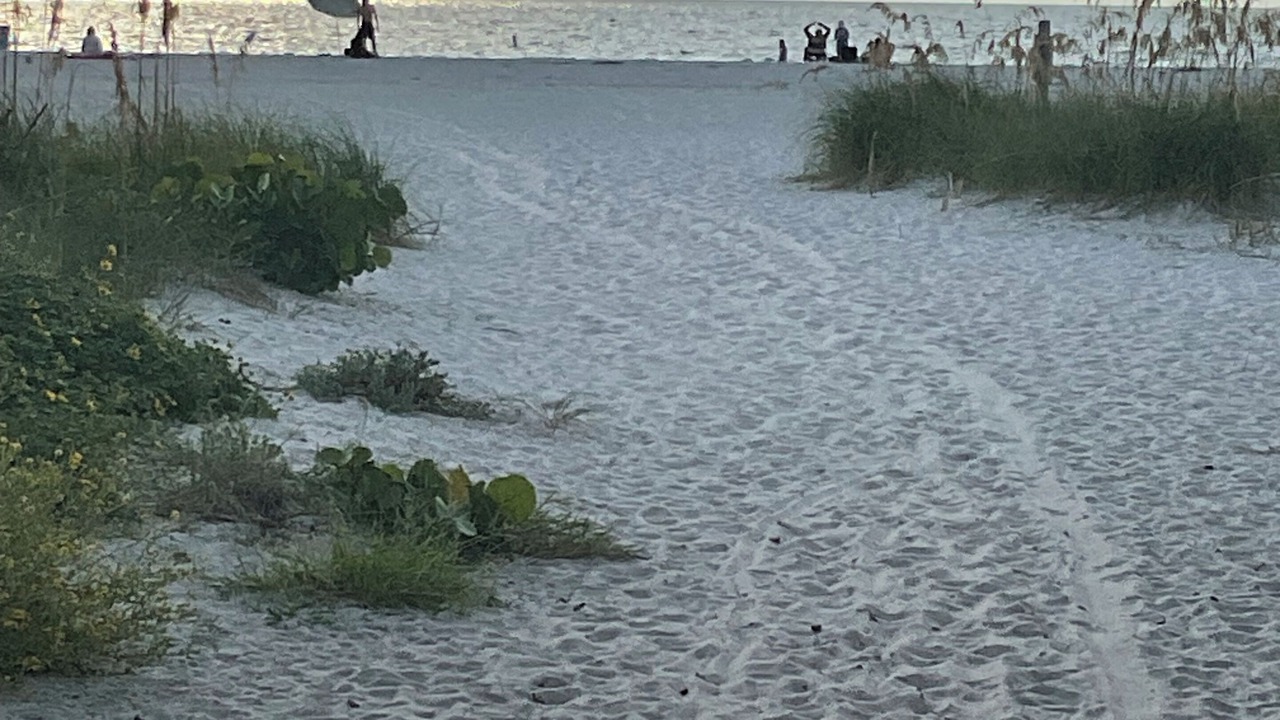 Photo of Others in Island Estate