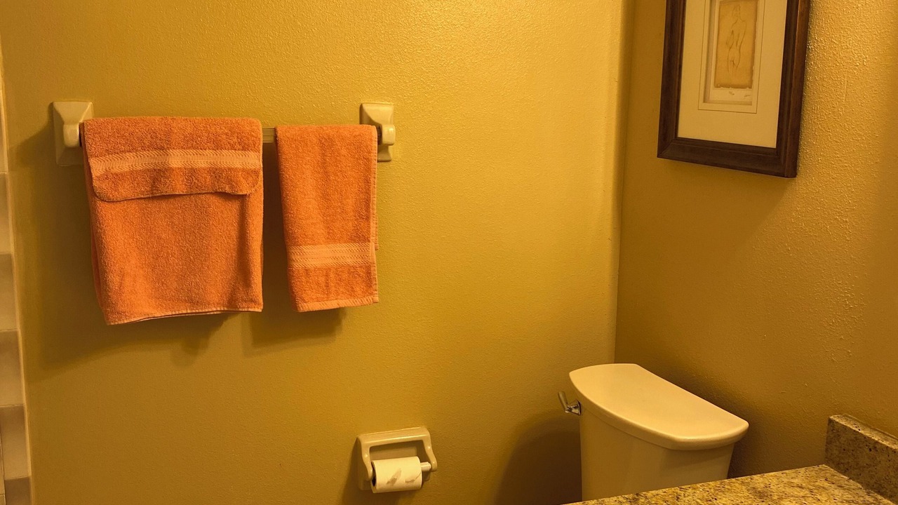 Photo of Bathroom in Venice